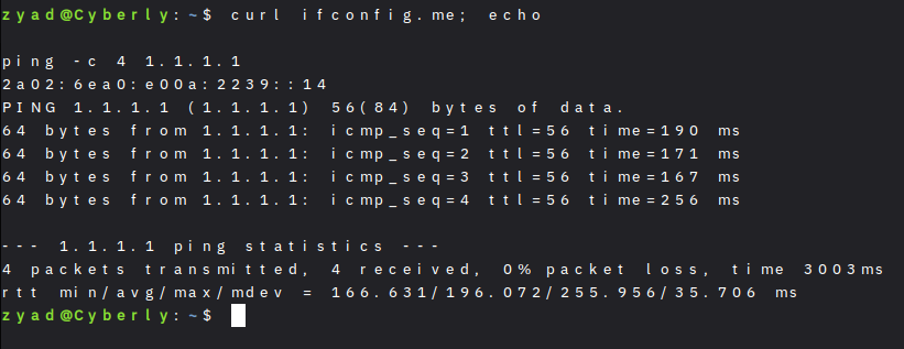 Kali Linux terminal displaying curl ifconfig.me command output for IP verification